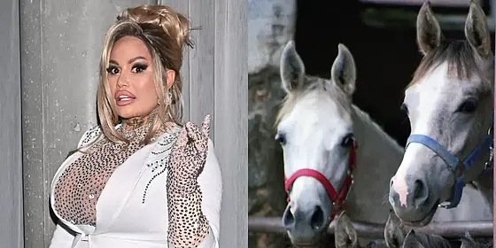 Laluna stanęła w obronie koni